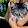 Tabby ASMR