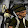 Exploration Les Cats en Faction