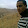 Rachid benAbed