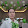 Thanh Đỗ