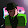 JEDI GAMING SHOW