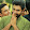 Chinar varma