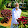 Sai Krishna Srikantam