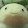 Nytomato -