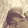 son van