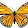 DeathbyButterflies1