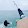 Sea Shore Game