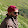 sahil verma