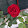 rosy 3425