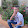 سيف الله المسلول محمد