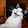 play tomcat