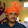 PARESH PAWAR