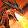 DRAGONBALL