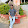 nipun vats