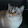 MEOW