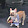 I have seen your Search History