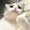 น้องเลิฟ ั่ดราพม