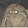 MÖTH WÄNT UR LÄMP!