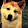 Doge Meme