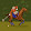 ext_SpraTTii 01