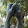 Abhishek dnsv