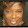 nita collins