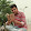 Navjot Singh