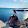 Tom _0758