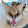 stry kerthecat