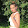 Lera Rock