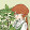 Zip14 _