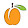 apricot india