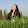 Tamar Arad