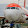 Flexi Aviation