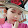 Thỏ Trắng