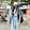 ปอ นอ