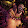 _AnubisTheKiller_ Adeka K