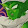 Junior / Piccolo