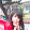 trinh to