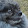 Doggie
