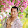 kevin vu