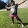 Playtime With amiya