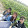 Cuong Nguuen
