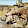 أبن سوريا A_B_N_SYRIA