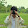 Đấng Tối Cao