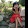 Thuy Thu