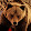 ZabBear