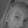 Stel.a _