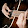 Three boys guitar