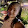 Tamara Gray